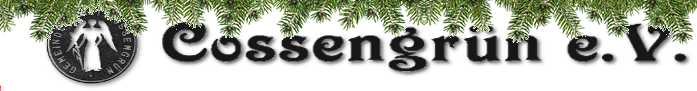 logo_weihnachten
